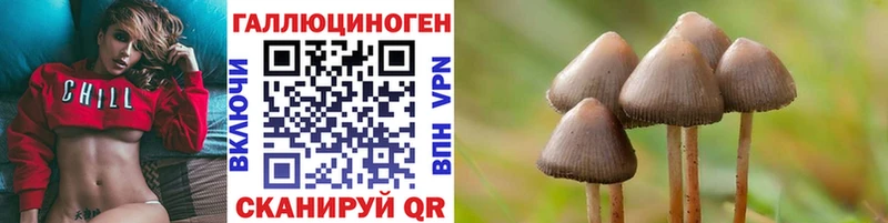 Псилоцибиновые грибы Cubensis  купить наркоту  Усолье 